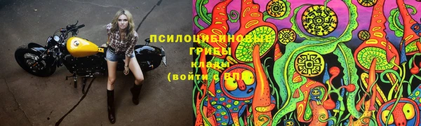 MDMA Богородицк